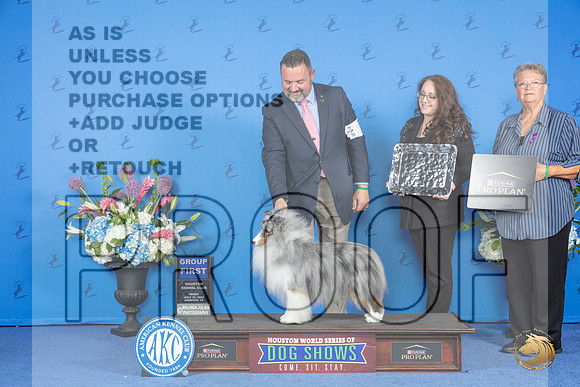 Shetland Sheepdog #23 FRI G1 Judge Annella Cooper__JP_9613_Houston_2024_HR3