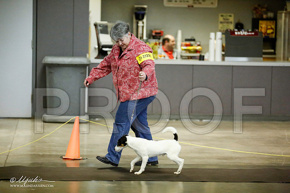 _JJ_5914-BeltonJan2015IABCA-HR3