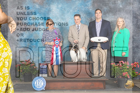 Papillion #23 Sat BIS Judge Elizabeth ‘Beth’ Sweigart__JP_5601_San Antonio_2024_HR3