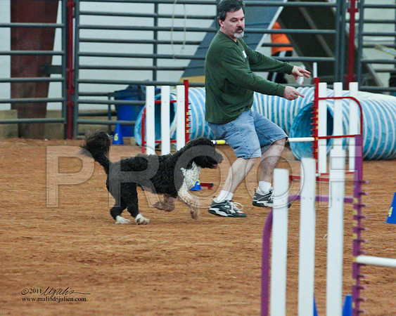 JWW Nov 16-3999-LR