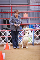 Rally Novice B Sat Rings