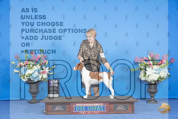 Brittany #20 FRI WB M Judge Jon Cole__JP_8918_Houston_2024_HR3