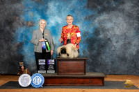 Pekingese #7 Sat WDM Judge Suzane Dillin
