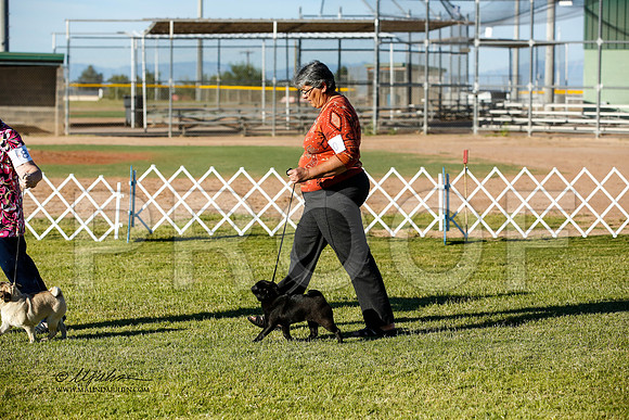 _JN_0224-AlamogordoOct2014-HR3
