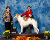 Borzois #5 Sun BOB Hardesty Georgia Ernest Cheely Judge Mrs Pamela B Peat