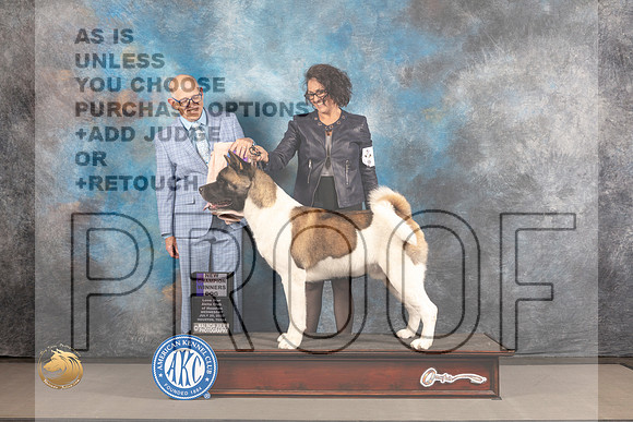 Akita # WED WD NCH Judge Donald Plummer_MJ_2287_Houston_2022_HR3