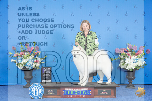 Samoyed #10 FRI WB NC Judge Nancy Liebes__JP_9157_Houston_2024_HR3