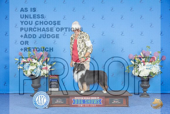 Shetland Sheepdog #38 SAT WB BW BOS NC Judge Jammie Hubbard__JP_9949_Houston_2024_HR3