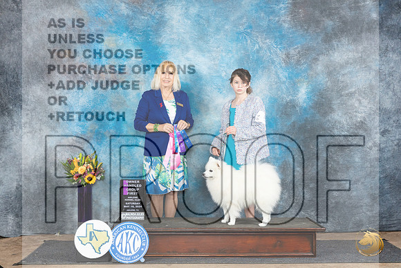 American Eskimo #7 Fri OHG1 Judge Edy Dykstra-Blum__JP_9922_Abilene_2024_HR3