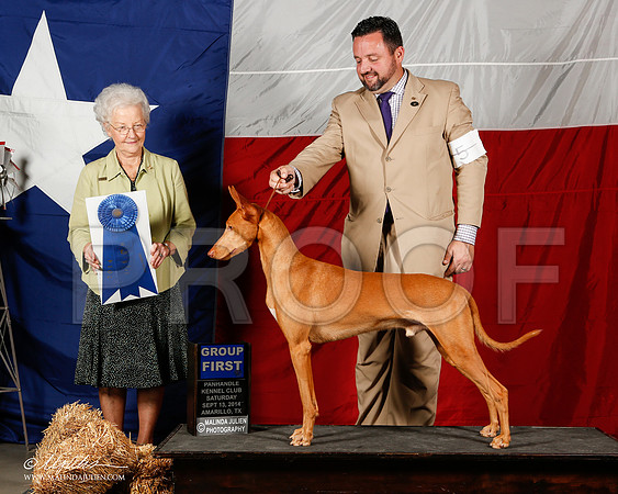 _ST_1804-2-AmarilloSep2014-HR3