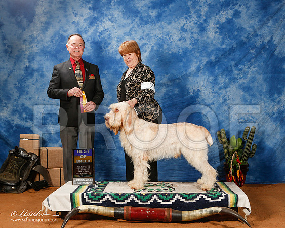_ST_0932-2-GlenRoseJan2015-HR3