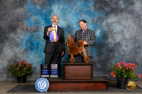 Poodle Miniature #20 Fri WDBOWBOVM Judge Dale Martenson