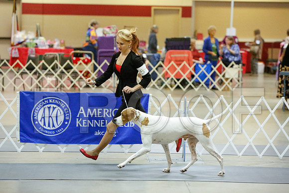 _JJ_2674-AmarilloSept2014-HR3