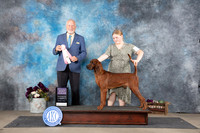 Redbone Coonhoud #J505 Sat RBJr Judge Eric Liebes