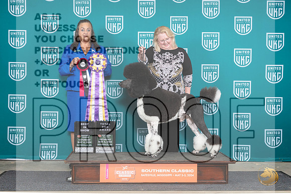 Poodle Std MC #128 Sat1 BISTD Judge Valerie Piltz__JP_6510_BatesvilleMS_2024_HR3
