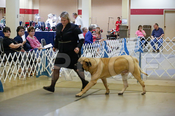 _JJ_9822-AmarilloSept2014-HR3