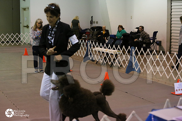 MJ2_0601-MsqtApr14-HR3