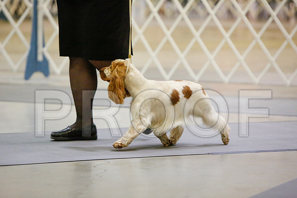 _JJ_2578-AmarilloSept2014-HR3