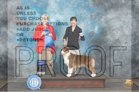 Australian Shepherd #10 Sun G1 Judge Sharon Newcomb__JP_3997_Lubbock_2024_HR3