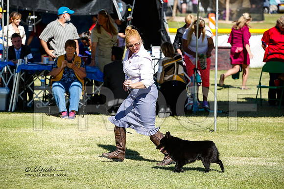 _JN_1453-AlamogordoOct2014-HR3