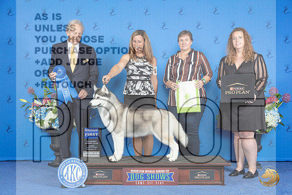 SIberian Husky #9 SUN G1 Judge James Moses__JP_0820_Houston_2024_HR3