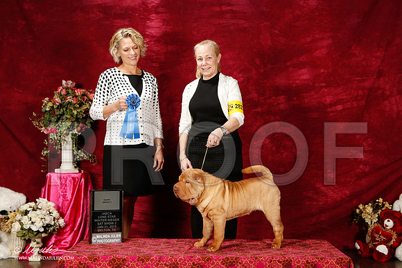 _ST_2655-2-BeltonJan2015IABCA-HR3