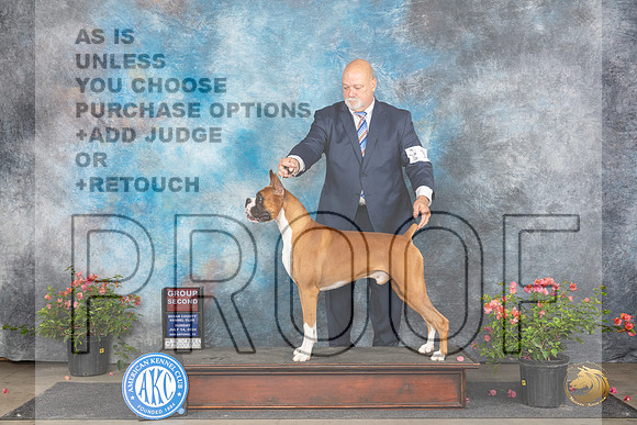 Boxer #11 Sun G2 Judge Karen McFarlane__JP_6299_San Antonio_2024_HR3