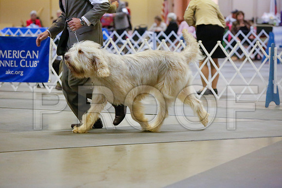 _JJ_3845-AmarilloSept2014-HR3