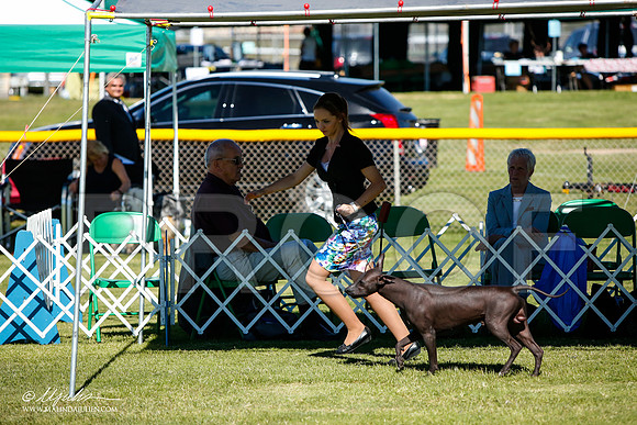 _JJ_6046-AlamogordoOct2014-HR3