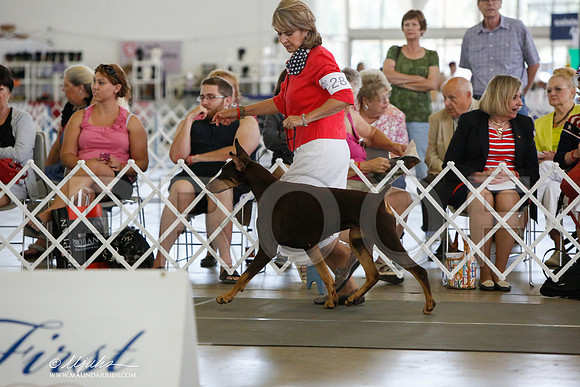 _JJ_1746-DallasJul2014-HR3