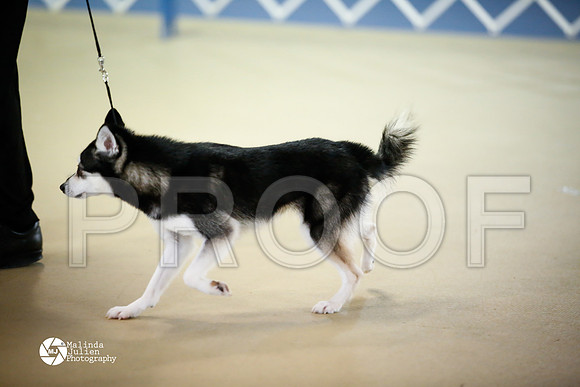AKK-8904-HtoJan14-HR