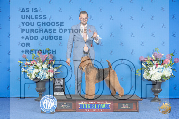 Airedale Terrier #6 SAT G4 Judge Jon Cole__JP_0112_Houston_2024_HR3