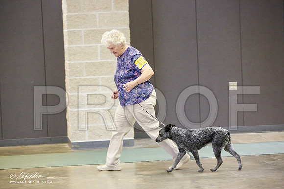 _JN_2558-BeltonJan2015-HR3