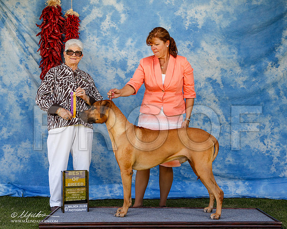 _ST_2692-2-AlamogordoOct2014-HR3