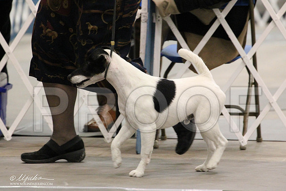 IMG_8015-Abilene2011-HR3