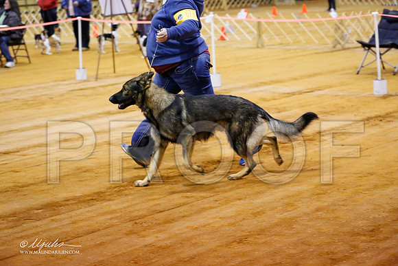 GSD-9190-MrshllDec13-HR