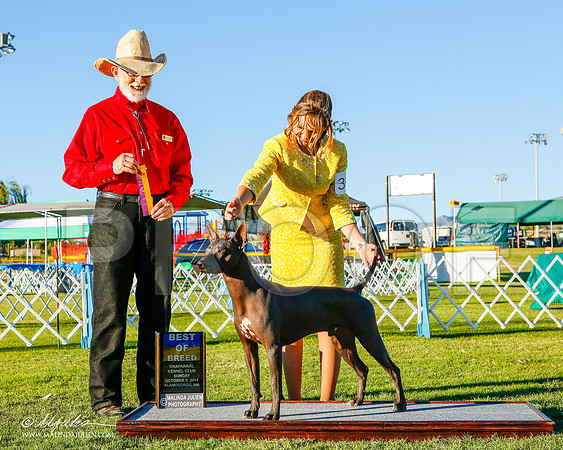 _ST_3644-2-AlamogordoOct2014-HR3