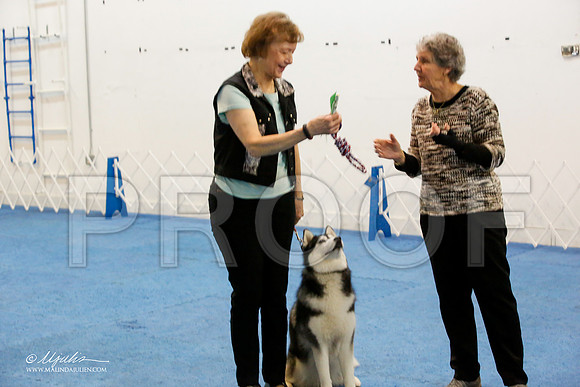 _M3_7616-AddisonHuskyMar2015-HR3