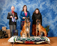 Belgian Malinois #14 & #9 Sat