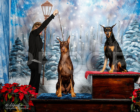 _ST_8189-2-DallasDec2014-HR3