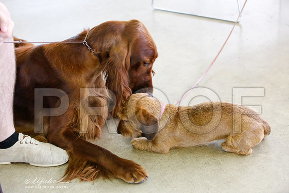_JN_2602-DallasJul2014-HR3