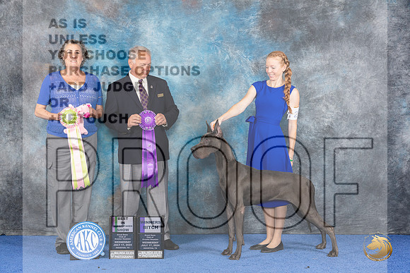 Great Dane #26 WED BISw WB Judge James Remaklus__JP_6795_Houston_2024_HR3