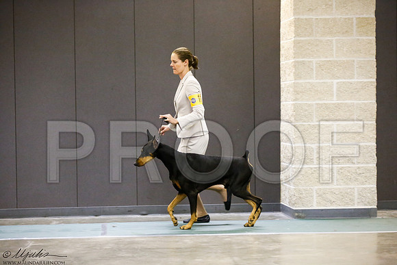 _J3L3638-BeltSep2014-HR