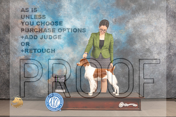 Brittany #14 WED BISweeps Judge Deborah Edwards_MJ_2448_Houston_2022_HR3