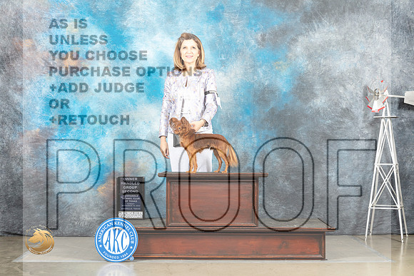 Russian Toy #5 Sun OHG2 Judge Joan Liebes_MJ_5141_Amarillo_2022_HR3