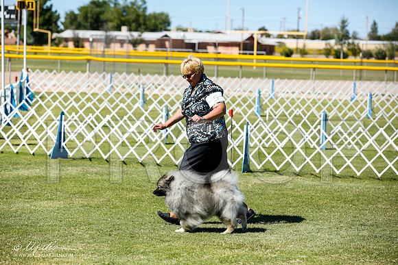 _JN_9138-AlamogordoOct2014-HR3