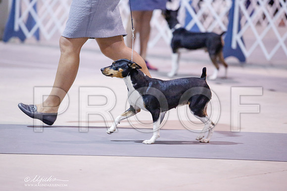_JN_8458-SAJul2014-HR3
