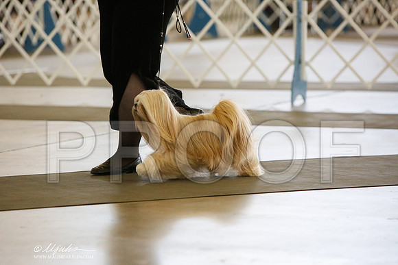 _JJ_9140-DallasJul2014-HR3