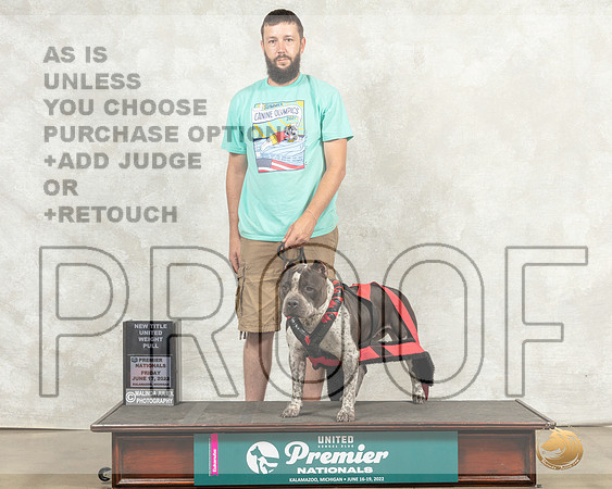 American Bully #1017 Fri WtP Judge Robertson__MJ_7890_Premier_2022_HR3