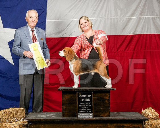 _ST_2061-AmarilloSep2014-HR3
